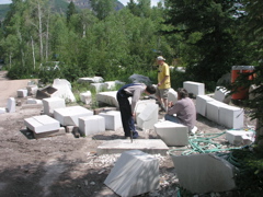 So many to choose from