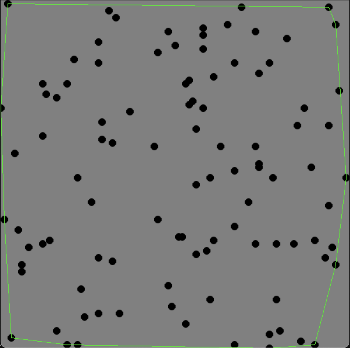 The visual result of running the Convex Hull algorithm