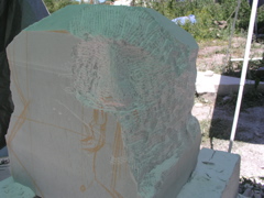 Start of a big nose